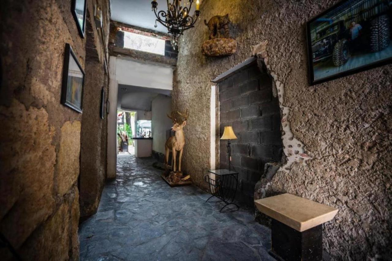 Hotel Alemco Монтеррей Экстерьер фото